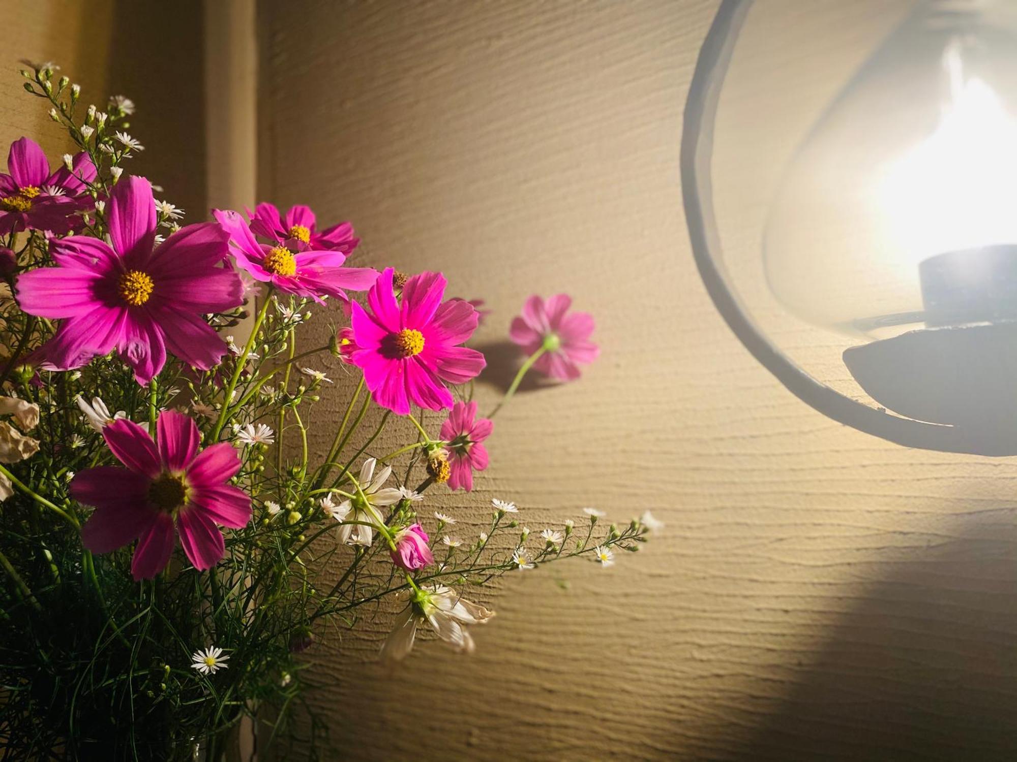 Hotel Wohnen Hakuba Buitenkant foto